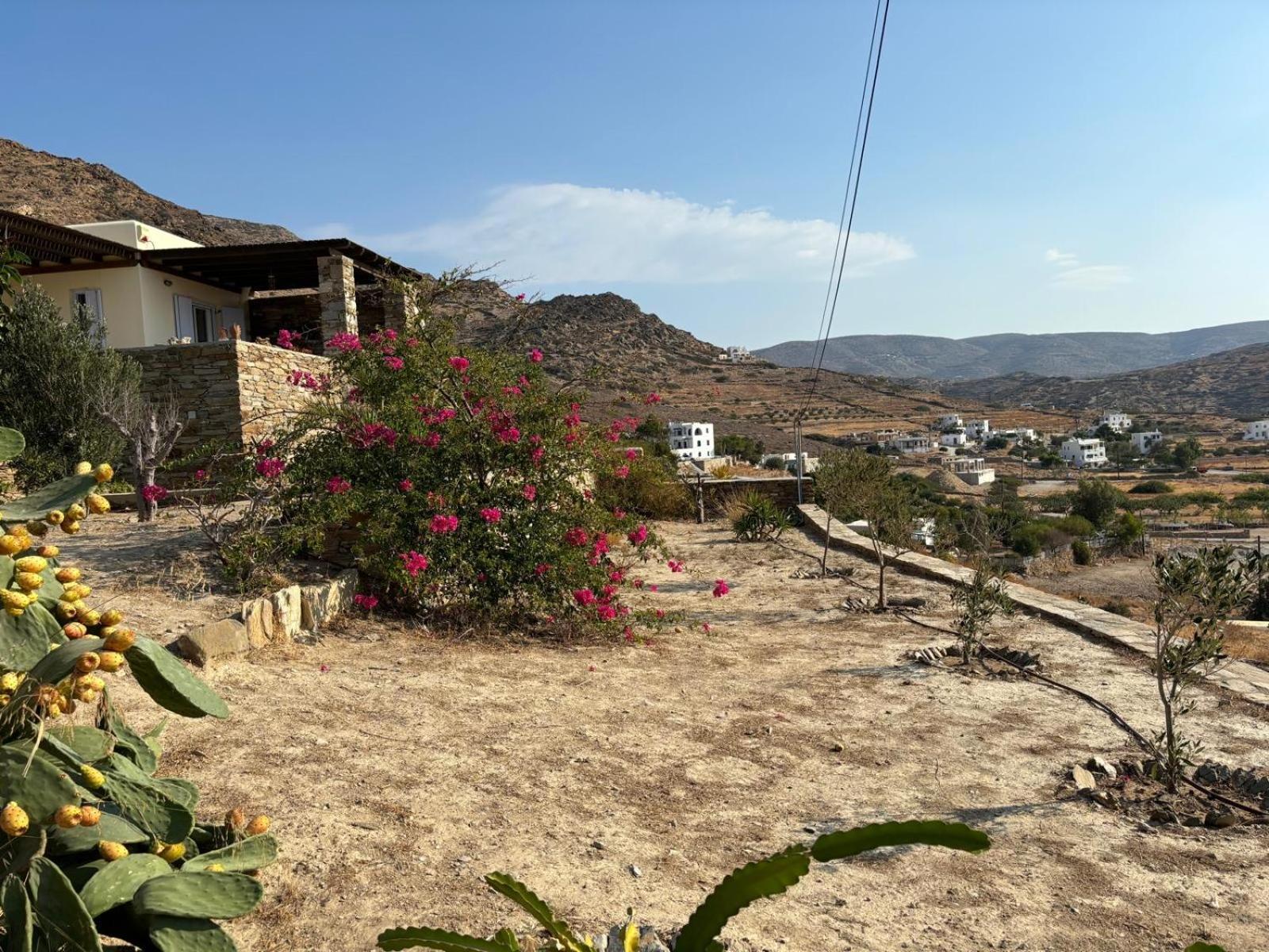 Euphrosyne Villa Chora  Exterior photo